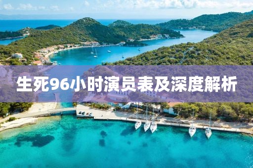 生死96小时演员表及深度解析