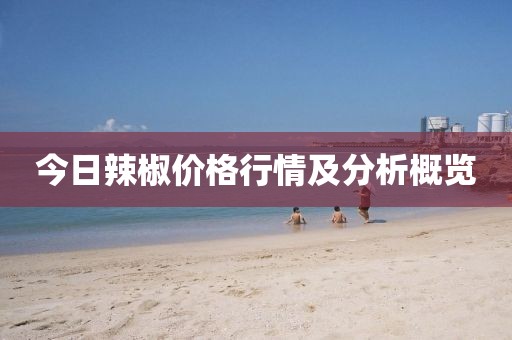 今日辣椒价格行情及分析概览