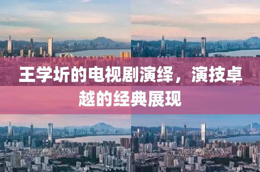 王学圻的电视剧演绎，演技卓越的经典展现