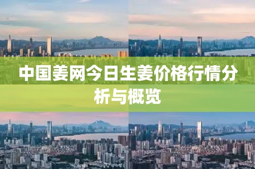 中国姜网今日生姜价格行情分析与概览