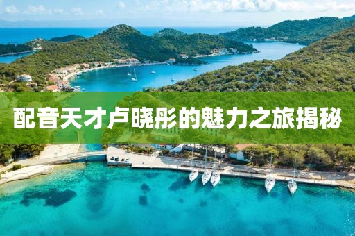 青衫薄衣 第2页