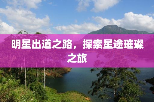 明星出道之路，探索星途璀璨之旅