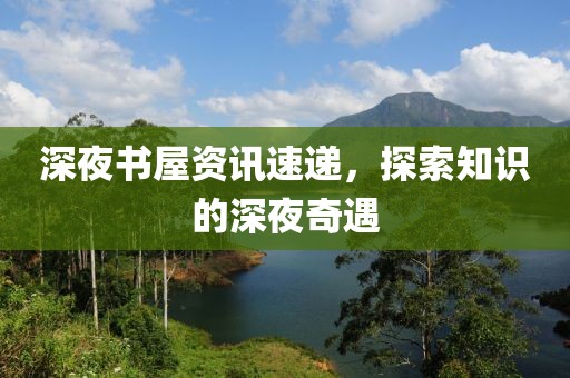 深夜书屋资讯速递，探索知识的深夜奇遇