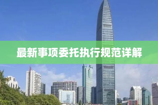 最新事项委托执行规范详解