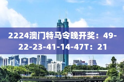 琼琚 第20页