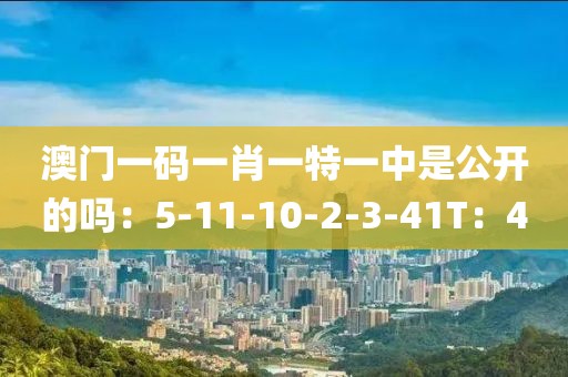 澳门一码一肖一特一中是公开的吗：5-11-10-2-3-41T：4