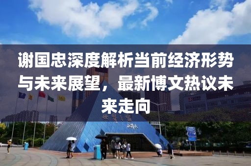 谢国忠深度解析当前经济形势与未来展望，最新博文热议未来走向