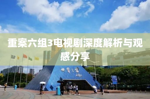 重案六组3电视剧深度解析与观感分享