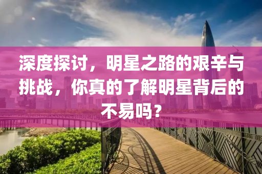 深度探讨，明星之路的艰辛与挑战，你真的了解明星背后的不易吗？