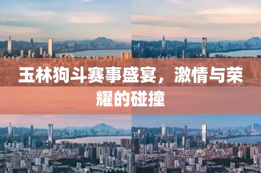 玉林狗斗赛事盛宴，激情与荣耀的碰撞
