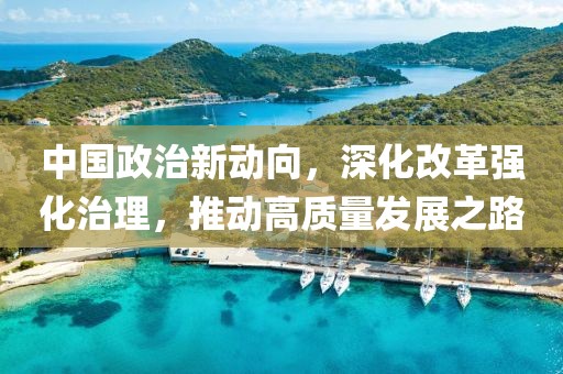 中国政治新动向，深化改革强化治理，推动高质量发展之路