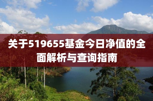 关于519655基金今日净值的全面解析与查询指南