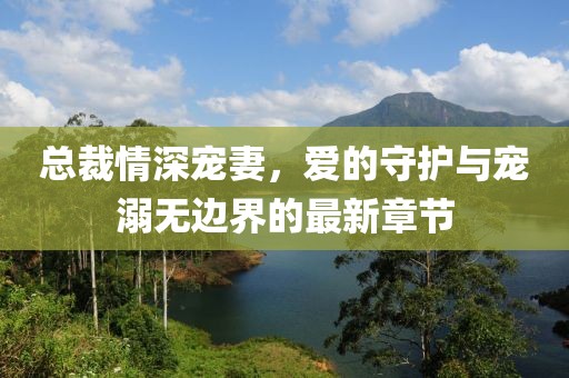 总裁情深宠妻，爱的守护与宠溺无边界的最新章节