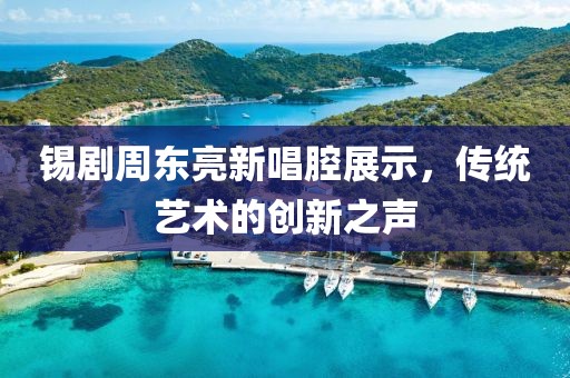 锡剧周东亮新唱腔展示，传统艺术的创新之声