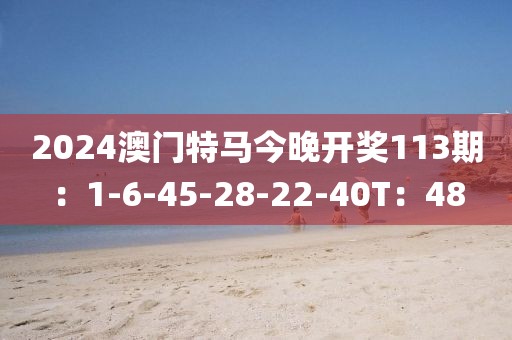 2024澳门特马今晚开奖113期：1-6-45-28-22-40T：48