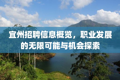 宜州招聘信息概览，职业发展的无限可能与机会探索