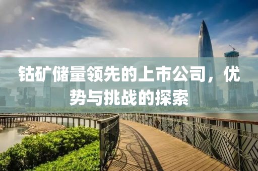 钴矿储量领先的上市公司，优势与挑战的探索