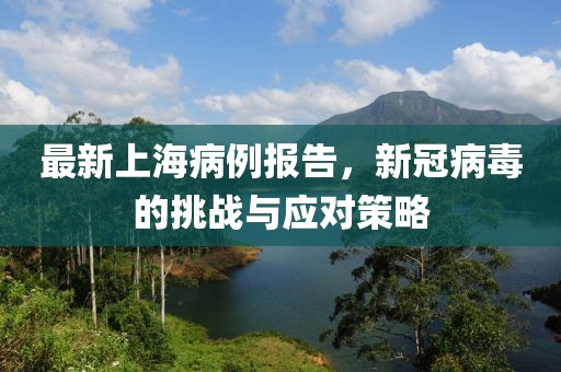 最新上海病例报告，新冠病毒的挑战与应对策略