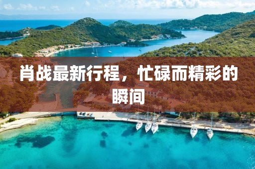 肖战最新行程，忙碌而精彩的瞬间