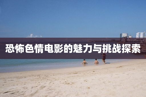 恐怖色情电影的魅力与挑战探索