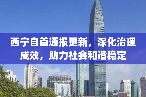 西宁自首通报更新，深化治理成效，助力社会和谐稳定