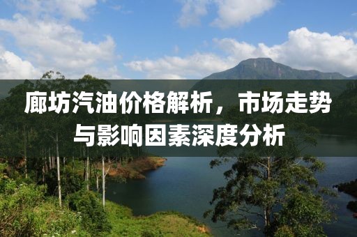 廊坊汽油价格解析，市场走势与影响因素深度分析