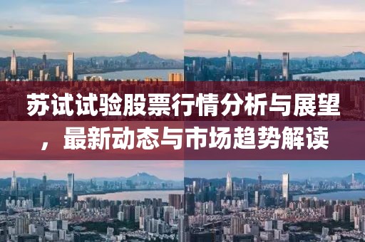 苏试试验股票行情分析与展望，最新动态与市场趋势解读