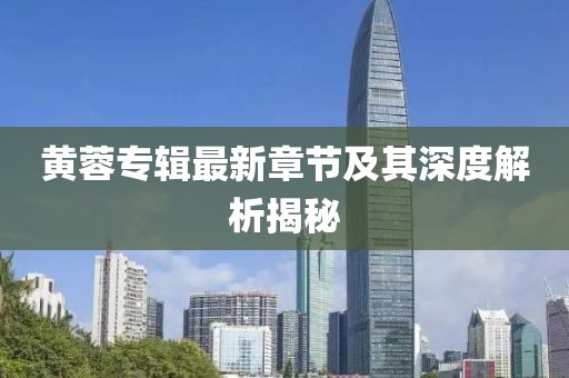 黄蓉专辑最新章节及其深度解析揭秘