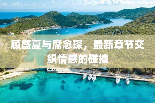 顾盛夏与席念琛，最新章节交织情感的碰撞