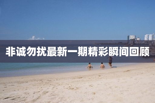 非诚勿扰最新一期精彩瞬间回顾