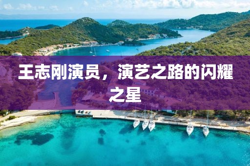 王志刚演员，演艺之路的闪耀之星