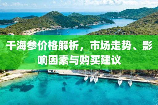 干海参价格解析，市场走势、影响因素与购买建议