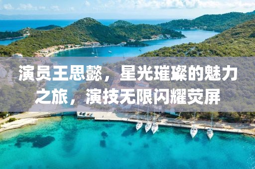 演员王思懿，星光璀璨的魅力之旅，演技无限闪耀荧屏