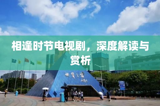 相逢时节电视剧，深度解读与赏析