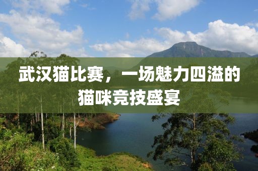 无爱一身 第24页