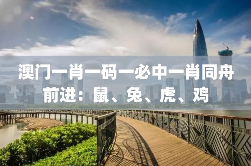 澳门一肖一码一必中一肖同舟前进：鼠、兔、虎、鸡