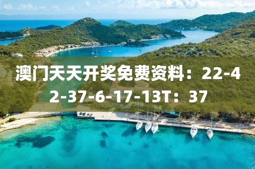 澳门天天开奖免费资料：22-42-37-6-17-13T：37