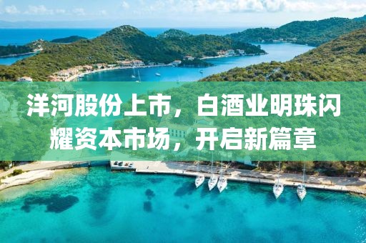 洋河股份上市，白酒业明珠闪耀资本市场，开启新篇章