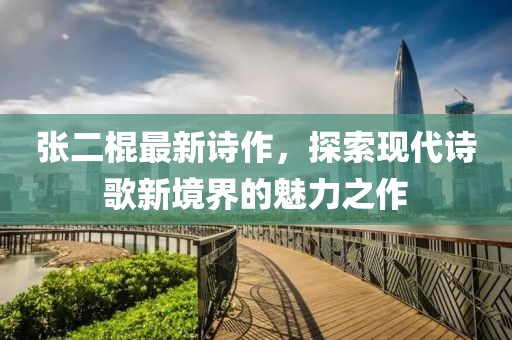 张二棍最新诗作，探索现代诗歌新境界的魅力之作