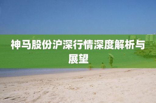 神马股份沪深行情深度解析与展望