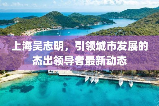 上海吴志明，引领城市发展的杰出领导者最新动态