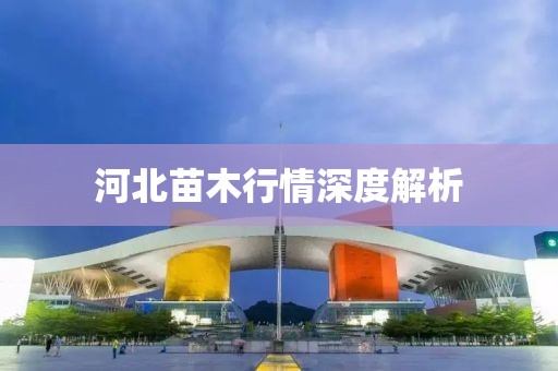 河北苗木行情深度解析