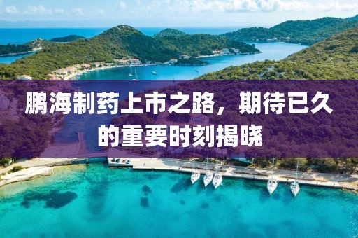鹏海制药上市之路，期待已久的重要时刻揭晓