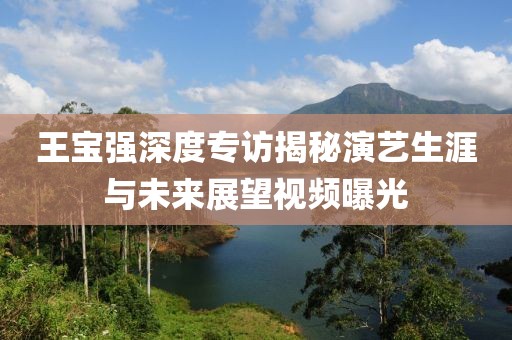王宝强深度专访揭秘演艺生涯与未来展望视频曝光