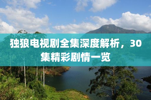 独狼电视剧全集深度解析，30集精彩剧情一览