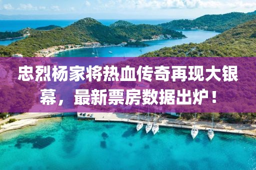 忠烈杨家将热血传奇再现大银幕，最新票房数据出炉！