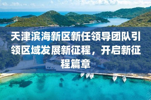 天津滨海新区新任领导团队引领区域发展新征程，开启新征程篇章