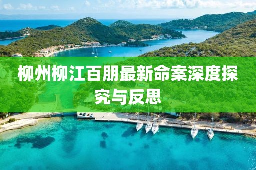 柳州柳江百朋最新命案深度探究与反思