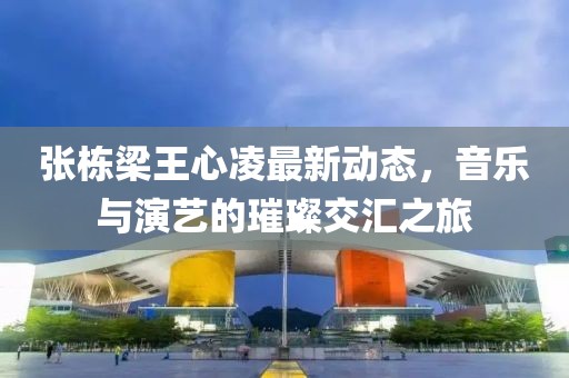 张栋梁王心凌最新动态，音乐与演艺的璀璨交汇之旅