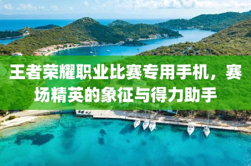 王者荣耀职业比赛专用手机，赛场精英的象征与得力助手